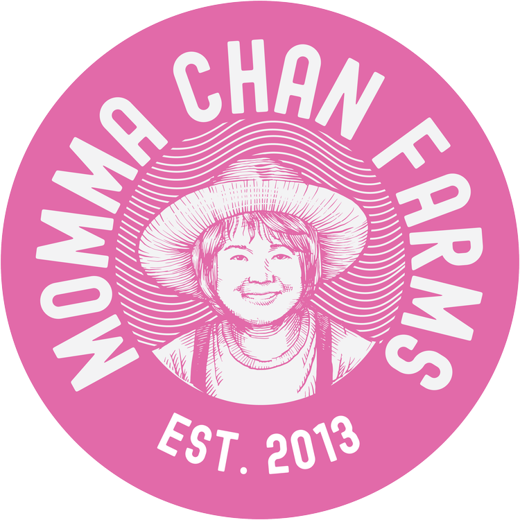 Floyd's Cannabis Event Momma Chan Vendor Day - Burlington